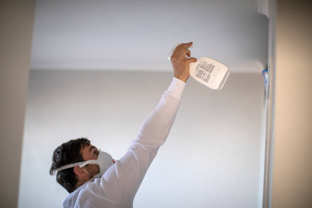 Best Residential Mold Removal  in Redgranite, WI