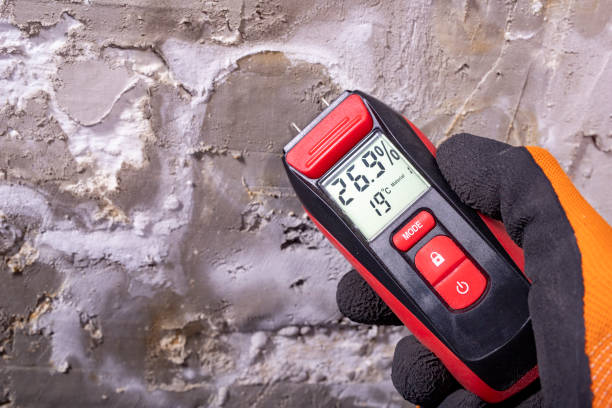 Best Attic Mold Removal  in Redgranite, WI