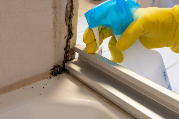 Best Office Mold Removal Services  in Redgranite, WI