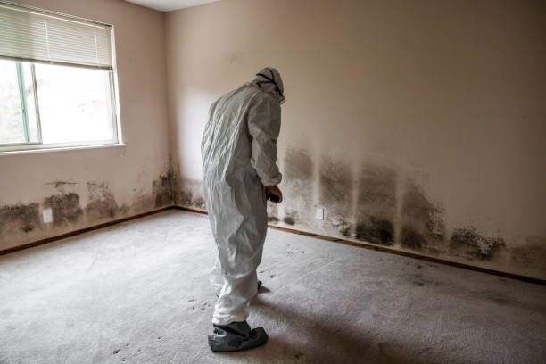 Redgranite, WI Mold Removal Company