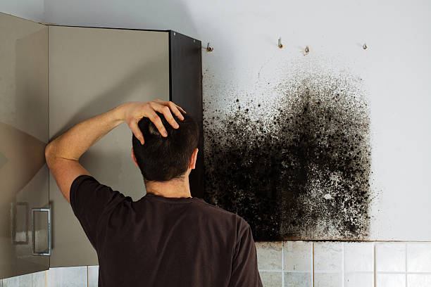 Best Mold Remediation Services  in Redgranite, WI
