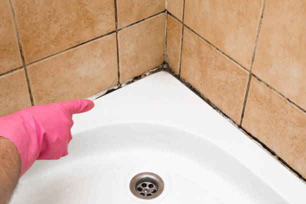 Crawl Space Mold Removal in Redgranite, WI